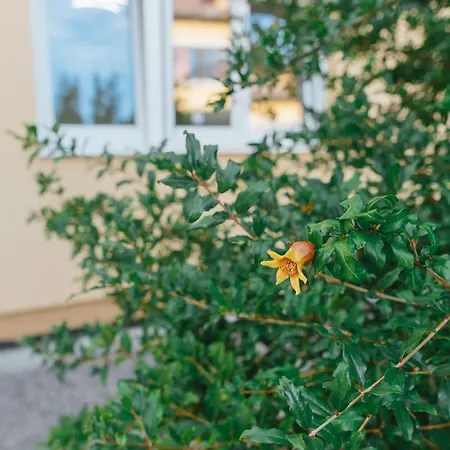 Eko-una Apartman Bihać